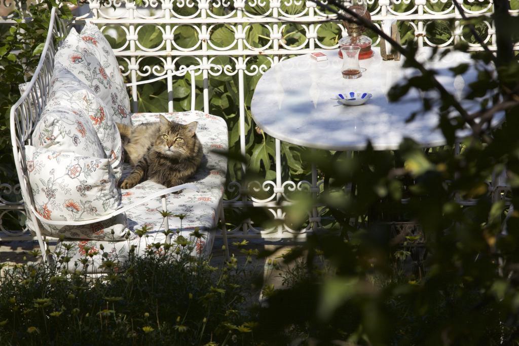 Nisanyan Hotel Selcuk Eksteriør bilde