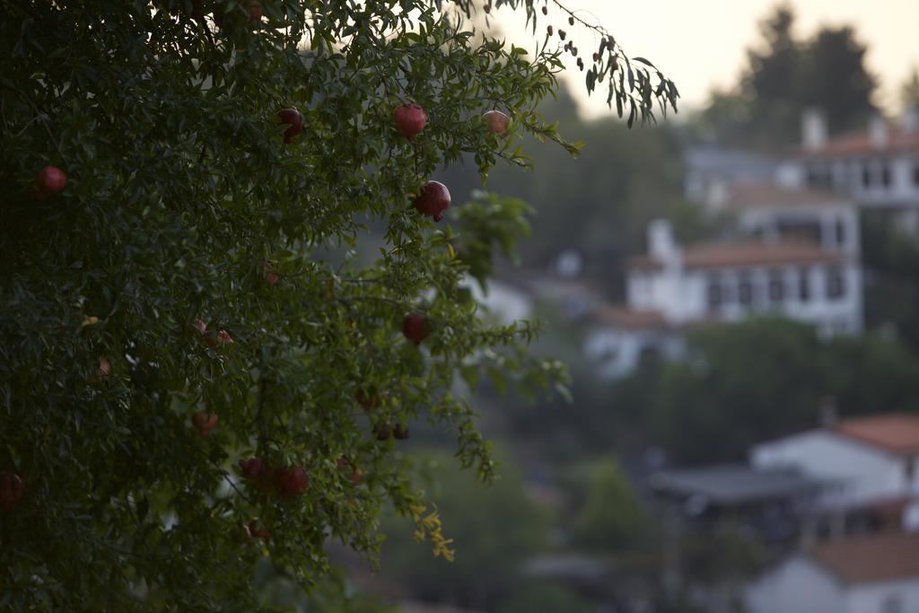 Nisanyan Hotel Selcuk Eksteriør bilde